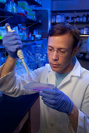 lab worker using pipette, Ann Arbor, Michigan