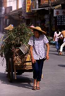 china stock photo